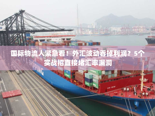 国际物流人紧急看！外汇波动吞掉利润？5个实战招直接堵汇率漏洞