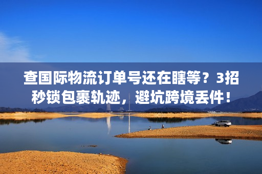 查国际物流订单号还在瞎等？3招秒锁包裹轨迹，避坑跨境丢件！