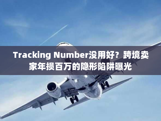 Tracking Number没用好？跨境卖家年损百万的隐形陷阱曝光
