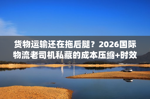 货物运输还在拖后腿？2026国际物流老司机私藏的成本压缩+时效翻倍秘籍