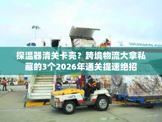 探温器清关卡壳？跨境物流大拿私藏的3个2026年通关提速绝招