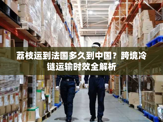 荔枝运到法国多久到中国？跨境冷链运输时效全解析