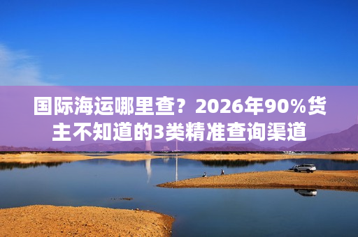 国际海运哪里查？2026年90%货主不知道的3类精准查询渠道