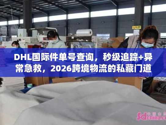 DHL国际件单号查询，秒级追踪+异常急救，2026跨境物流的私藏门道