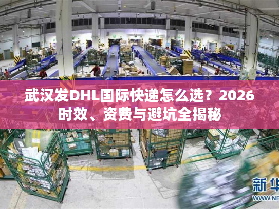 武汉发DHL国际快递怎么选？2026时效、资费与避坑全揭秘