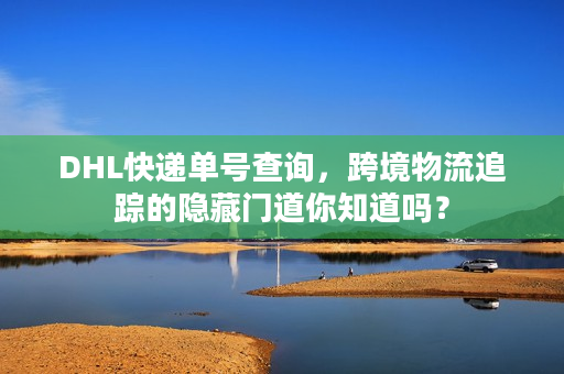 DHL快递单号查询，跨境物流追踪的隐藏门道你知道吗？