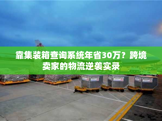 靠集装箱查询系统年省30万？跨境卖家的物流逆袭实录