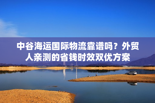 中谷海运国际物流靠谱吗？外贸人亲测的省钱时效双优方案