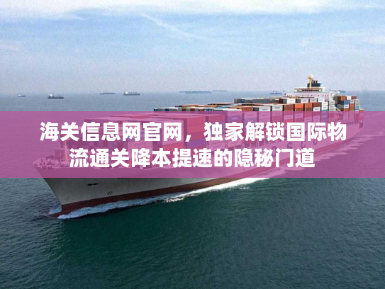 海关信息网官网，独家解锁国际物流通关降本提速的隐秘门道