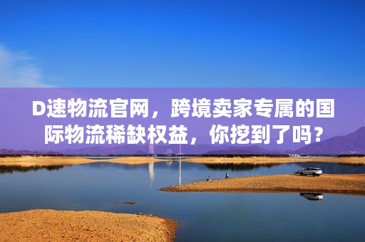 D速物流官网，跨境卖家专属的国际物流稀缺权益，你挖到了吗？
