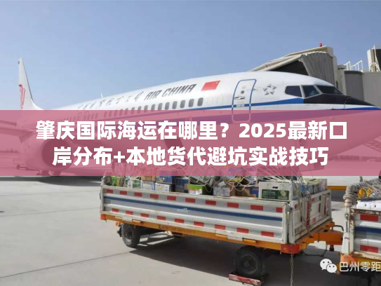 肇庆国际海运在哪里？2025最新口岸分布+本地货代避坑实战技巧