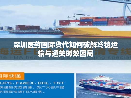 深圳医药国际货代如何破解冷链运输与通关时效困局