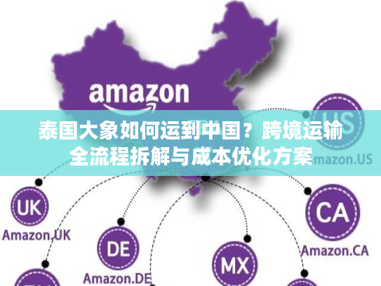 泰国大象如何运到中国?跨境运输全流程拆解与成本优化方案 泰国大象如何运到中国?跨境运输全流程拆解与成本优化方案