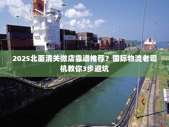 2025北面清关微店靠谱推荐？国际物流老司机教你3步避坑