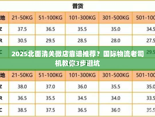 2025北面清关微店靠谱推荐？国际物流老司机教你3步避坑