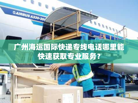 广州海运国际快递专线电话哪里能快速获取专业服务？