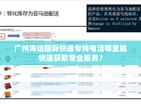 广州海运国际快递专线电话哪里能快速获取专业服务？