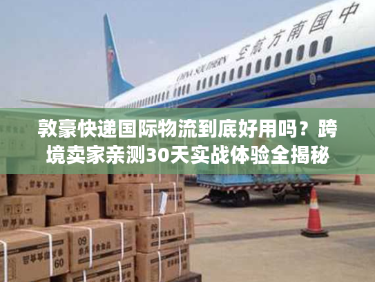 敦豪快递国际物流到底好用吗？跨境卖家亲测30天实战体验全揭秘