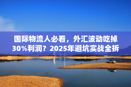 国际物流人必看,外汇波动吃掉30%利润?2025年避坑实战全拆解 国际物流人必看,外汇波动吃掉30%利润?2025年避坑实战全拆解