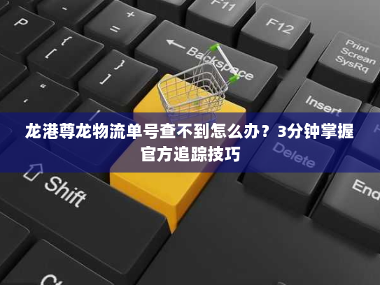 龙港尊龙物流单号查不到怎么办?3分钟掌握官方追踪技巧 龙港尊龙物流单号查不到怎么办?3分钟掌握官方追踪技巧