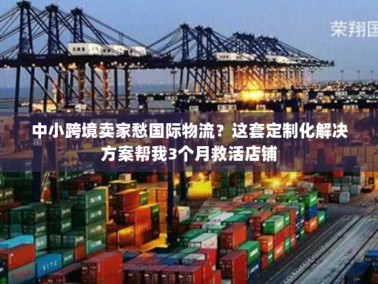 中小跨境卖家愁国际物流？这套定制化解决方案帮我3个月救活店铺