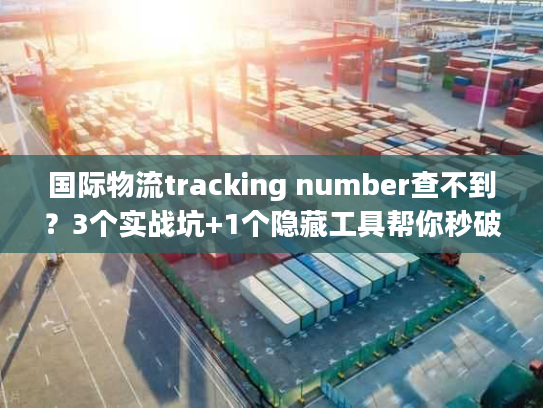 国际物流tracking number查不到？3个实战坑+1个隐藏工具帮你秒破局