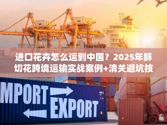 进口花卉怎么运到中国？2025年鲜切花跨境运输实战案例+清关避坑技巧