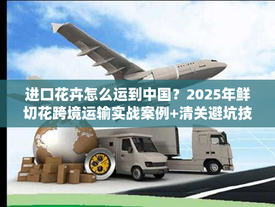 进口花卉怎么运到中国？2025年鲜切花跨境运输实战案例+清关避坑技巧