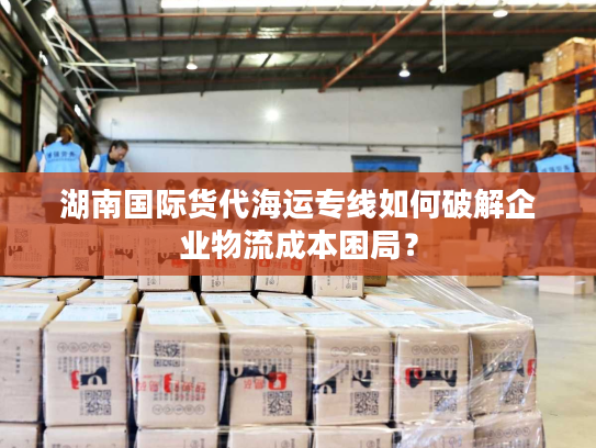 湖南国际货代海运专线如何破解企业物流成本困局？