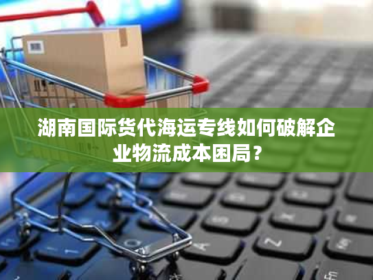 湖南国际货代海运专线如何破解企业物流成本困局？