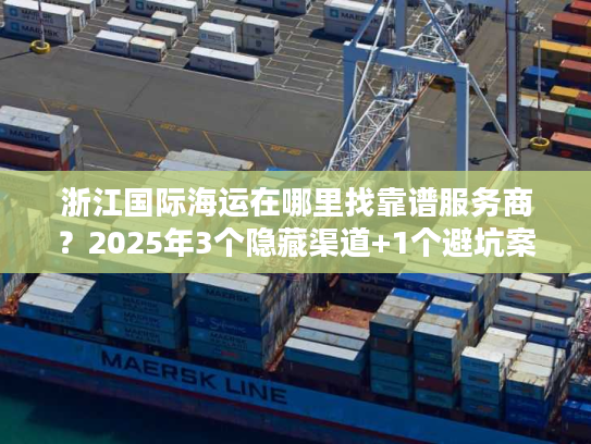 浙江国际海运在哪里找靠谱服务商？2025年3个隐藏渠道+1个避坑案例
