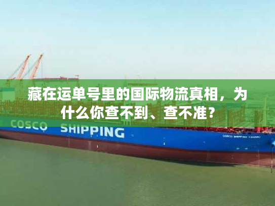 藏在运单号里的国际物流真相，为什么你查不到、查不准？