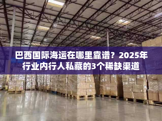 巴西国际海运在哪里靠谱？2025年行业内行人私藏的3个稀缺渠道