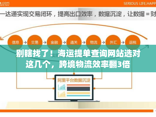 别瞎找了！海运提单查询网站选对这几个，跨境物流效率翻3倍