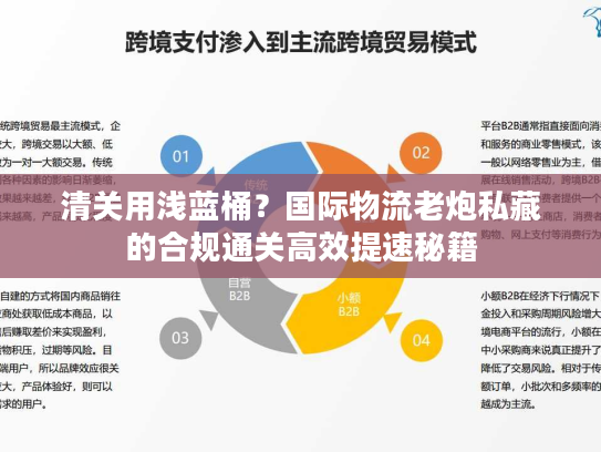 清关用浅蓝桶？国际物流老炮私藏的合规通关高效提速秘籍
