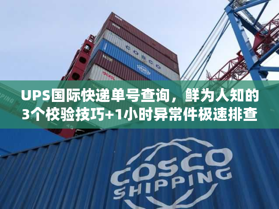 UPS国际快递单号查询，鲜为人知的3个校验技巧+1小时异常件极速排查