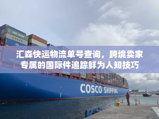 汇森快运物流单号查询，跨境卖家专属的国际件追踪鲜为人知技巧
