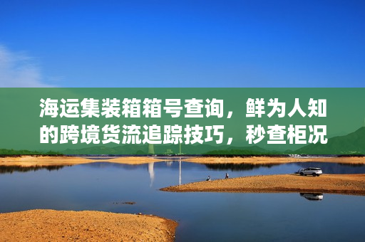 海运集装箱箱号查询，鲜为人知的跨境货流追踪技巧，秒查柜况不踩坑