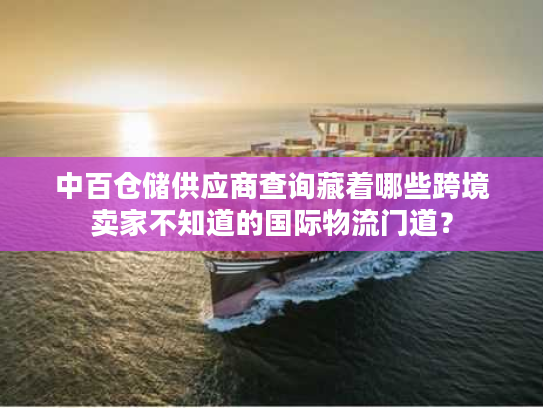 中百仓储供应商查询藏着哪些跨境卖家不知道的国际物流门道？