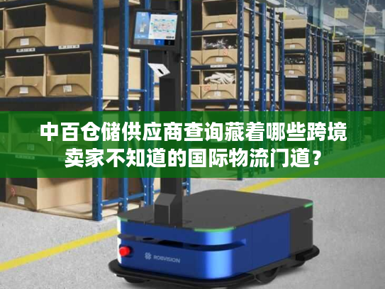 中百仓储供应商查询藏着哪些跨境卖家不知道的国际物流门道？