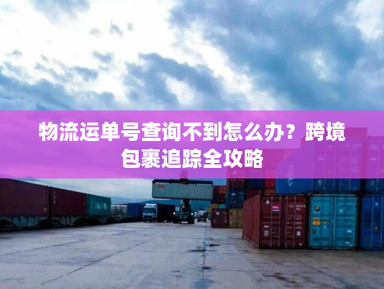 物流运单号查询不到怎么办？跨境包裹追踪全攻略