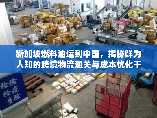新加坡燃料油运到中国，揭秘鲜为人知的跨境物流通关与成本优化干货