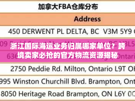 浙江国际海运业务归属哪家单位？跨境卖家必抢的官方物流资源揭秘