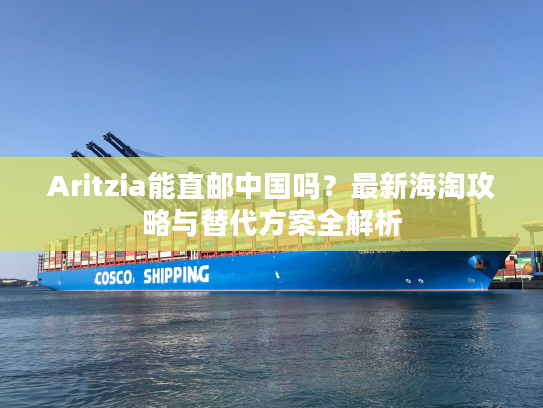 Aritzia能直邮中国吗？最新海淘攻略与替代方案全解析