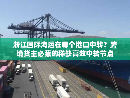 浙江国际海运在哪个港口中转?跨境货主必藏的稀缺高效中转节点 浙江国际海运在哪个港口中转?跨境货主必藏的稀缺高效中转节点