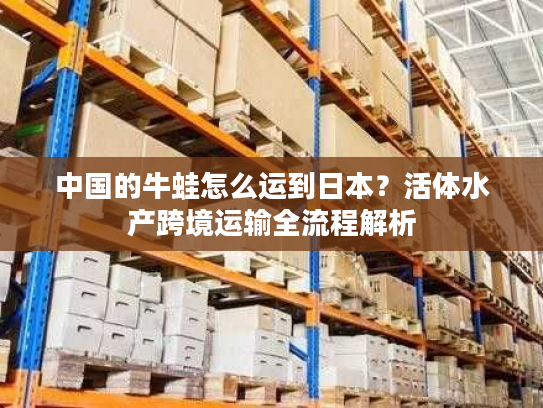 中国的牛蛙怎么运到日本？活体水产跨境运输全流程解析