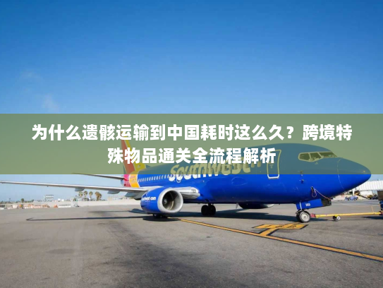 为什么遗骸运输到中国耗时这么久?跨境特殊物品通关全流程解析 为什么遗骸运输到中国耗时这么久?跨境特殊物品通关全流程解析