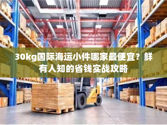 30kg国际海运小件哪家最便宜？鲜有人知的省钱实战攻略