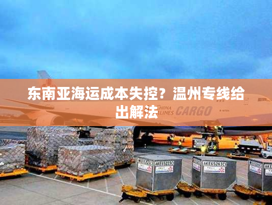 东南亚海运成本失控？温州专线给出解法