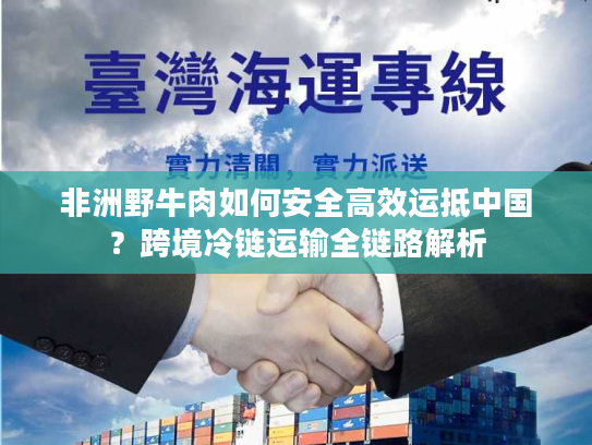 非洲野牛肉如何安全高效运抵中国？跨境冷链运输全链路解析